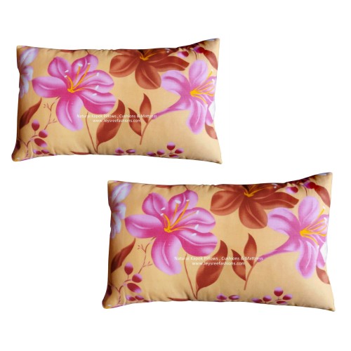 Kapok silk shop cotton pillows